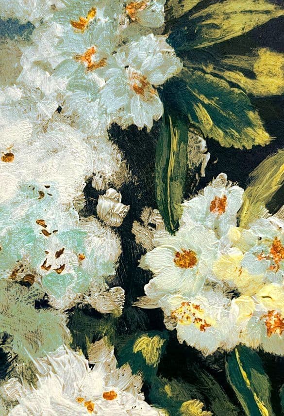 White Daisies in Bloom - Free Wallpaper